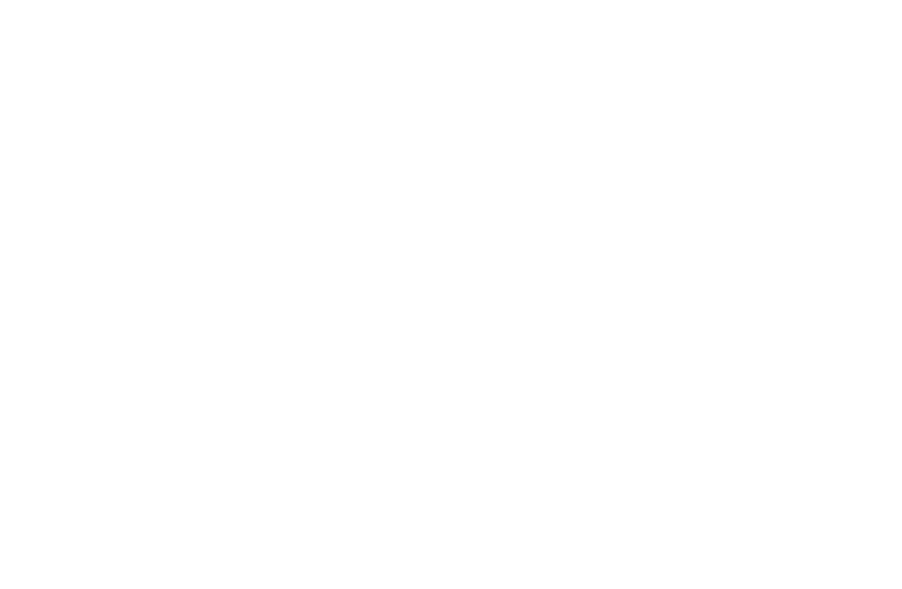 Lingl Logo weiss